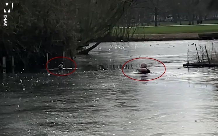 Video: Chó con bị kẹt trong hồ nước lạnh được người đàn ông lao xuống cứu